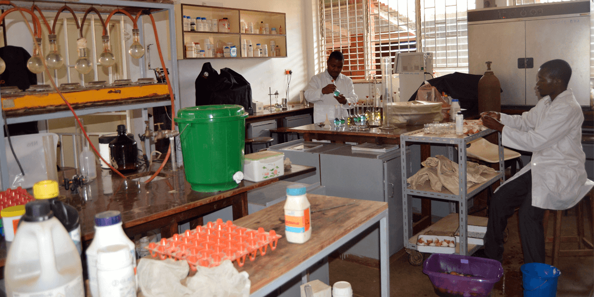 Grad students in lab LUANAR