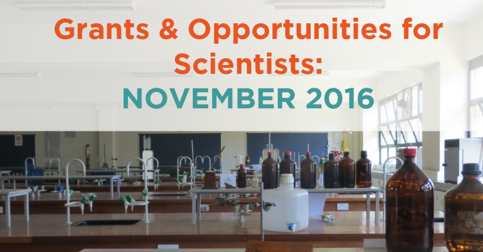 November 2016 Grants & Opportunities