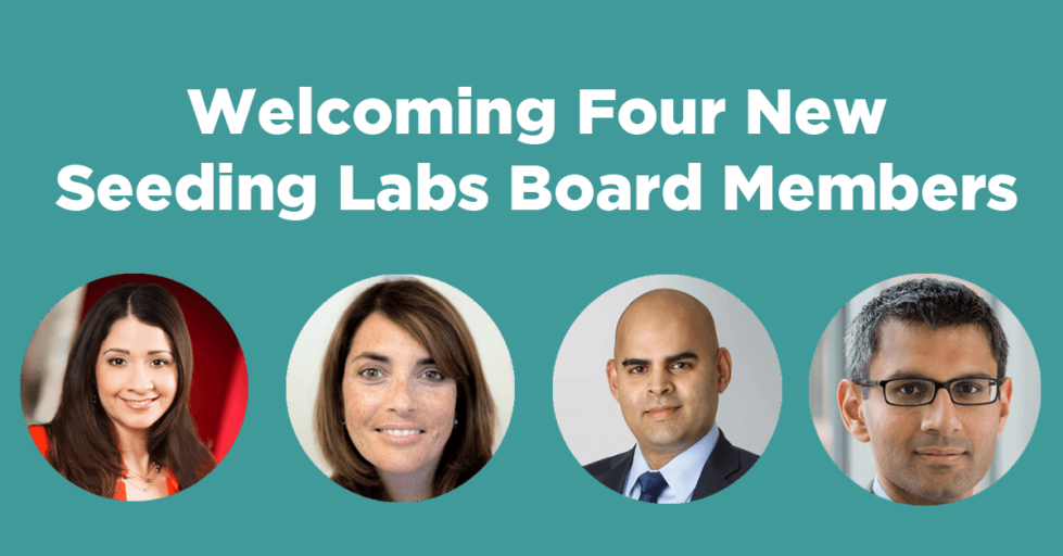 New Board Members