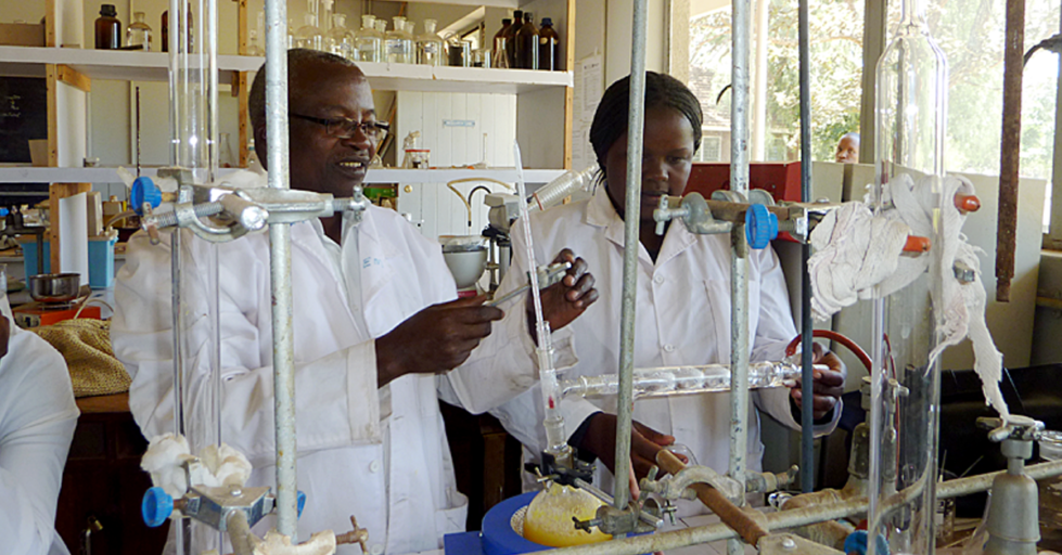 Scientists at bench