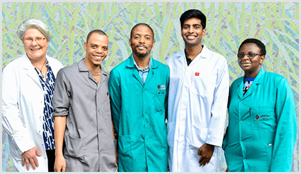 Dr. Annegret Stark and graduate students at the University of KwaZulu-Natal